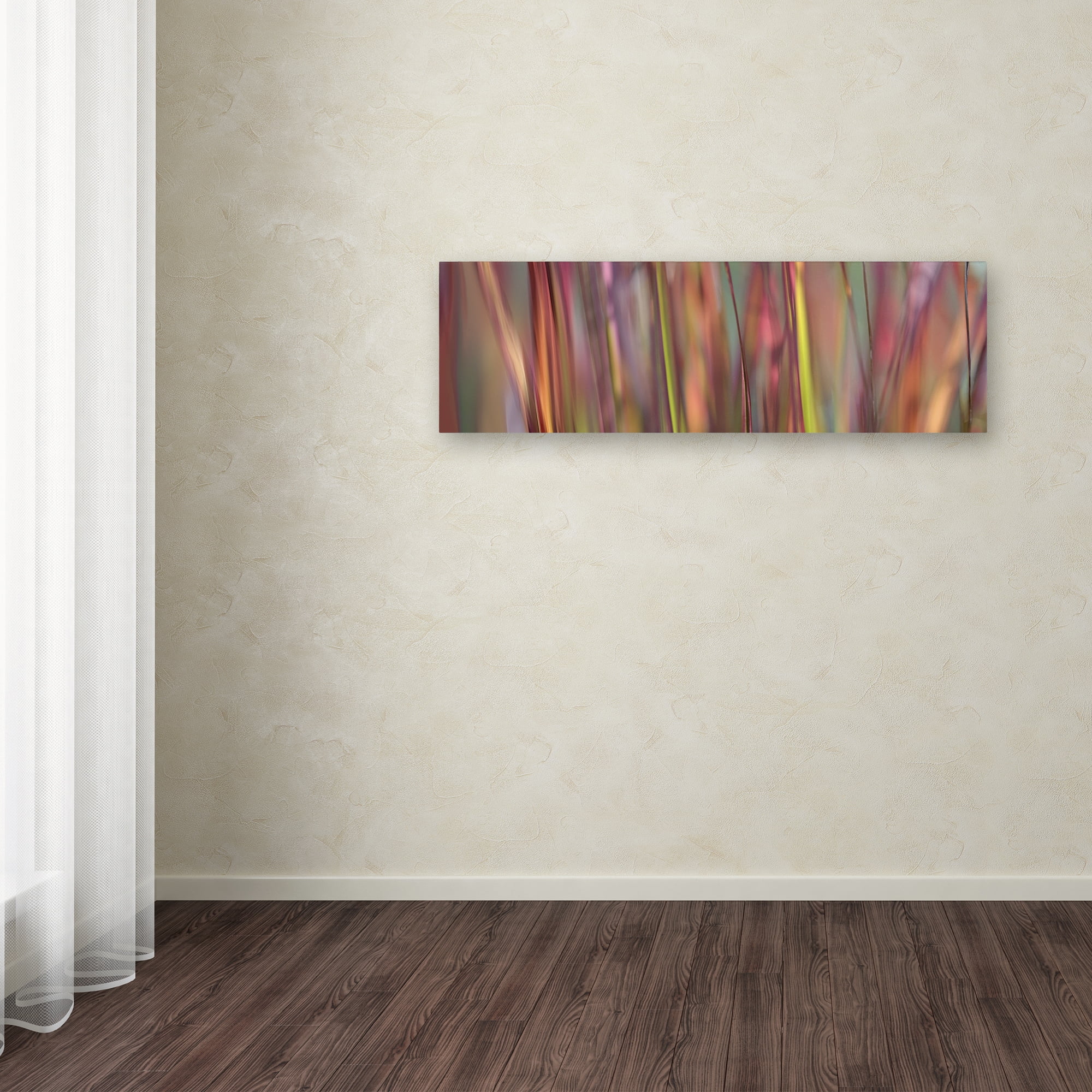 Trademark Fine Art 'Imperata Grass Scape' Canvas Art by Cora Niele