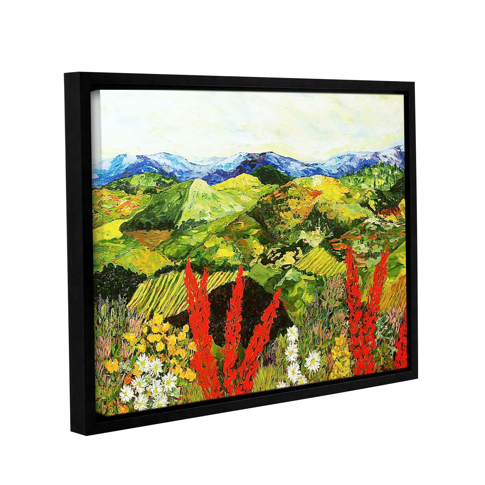 ArtWall Allan Friedlander "One More Step" Gallery-wrapped Floater-framed Canvas