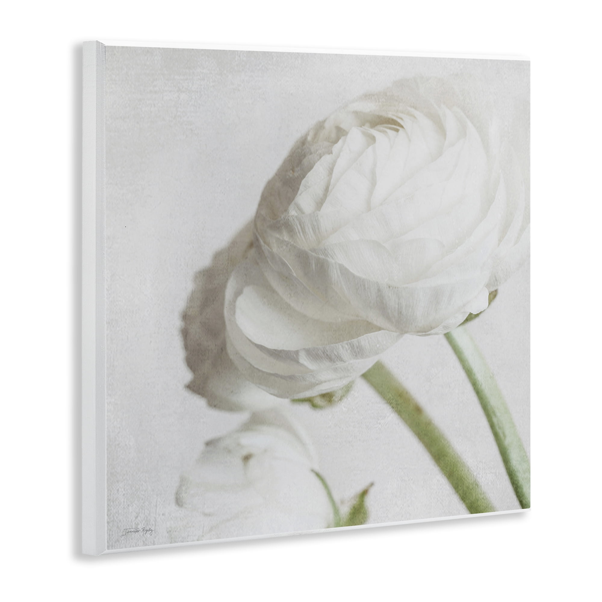 Stupell Industries Charming White Peony Botanical & Floral Painting Unframed Art Print Wall Art, 12 x 12