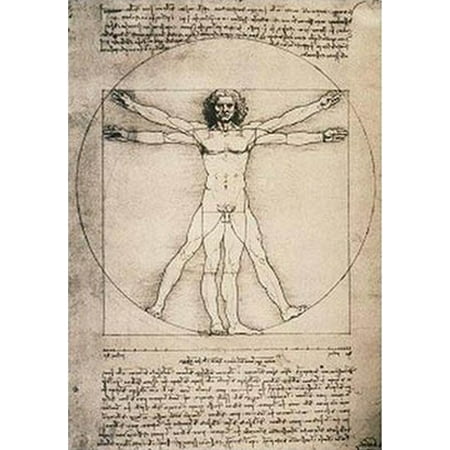 proportions of the human figure da vinci