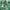Green Notes, variant on Time and Tru Women's Ruched Tie Shoulder Top, Sizes XS-XXXL