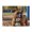 1000 Pieces, variant on 500-Piece Wooden Jigsaw Puzzle for Adults - Boxer Dog Playground Active , Fun & Relaxing Family Game, No-Dust Interlocking Pieces, Perfect Wall Decor & Holiday Gift