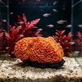 thumbnail image 5 of Tarmeek Aquarium Coral Ornament Resin Cave Hideout for Fish Tank Decor Medium Multicolor Hollow Design Safe for Betta Rest Hide Play Breed 16x10cm Easy to Clean, 5 of 7