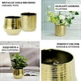 thumbnail image 4 of Efavormart 2 Pack | 5" Gold Textured Round Ceramic Flower Plant Pots, Cylindrical Metallic Gold Brushed Indoor Planter Pot, 4 of 11
