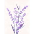 thumbnail image 2 of Wang, Melissa 12x14 White Modern Wood Framed Museum Art Print Titled - Lavender Land II, 2 of 4