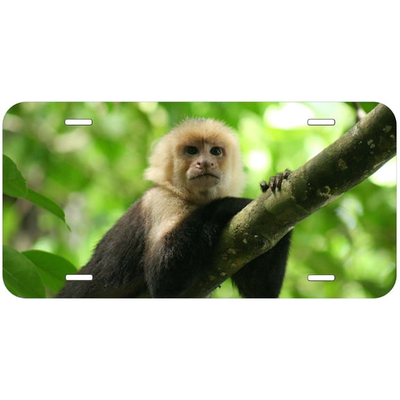Monkey TAG18 Novelty Car Auto License Plate