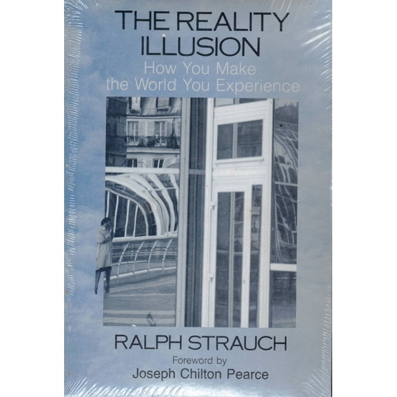 Pre-Owned REALITY ILLUSION (Edition 1) (Paperback)