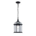 thumbnail image 4 of Trans Globe Lighting 4183 Botanica 1 Light Outdoor Small Single Pendant - White, 4 of 7