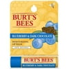 Burt's Bees Blueberry & Chocolate Lip Balm