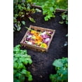 thumbnail image 4 of Vita Urbana 4'L x 4'W x 22"H Vinyl Keyhole Composting Garden, Espresso Brown, VT17501, 4 of 9