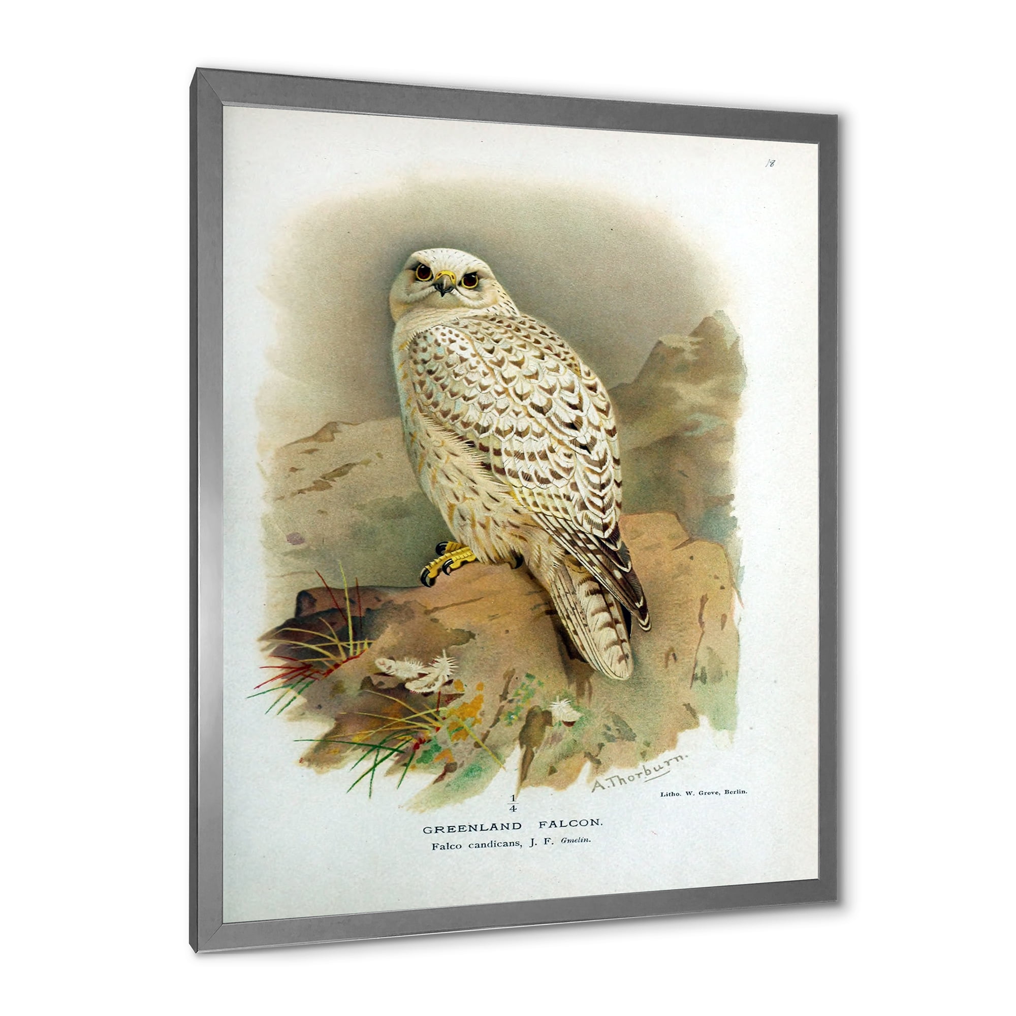 Designart 'Ancient Bird Life VII' Traditional Framed Art Print