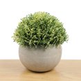 thumbnail image 4 of 4 paquetes de plantas falsas pequeñas plantas artificiales en maceta para el hogar, oficina, granja, baño, decoración interior, 4 of 5