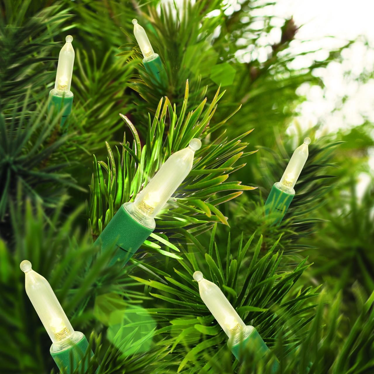 50-Count Warm White LED Mini Christmas Lights with Green Wire, 11', Holiday Time