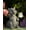 Gray Dragon, variant on Dragon Garden Statue Outdoor with Solar Lantern - Resin Dragon Decor for Garden, Patio, and Yard - 8.3 inches Dragon Gifts & Decorations (Dragon)