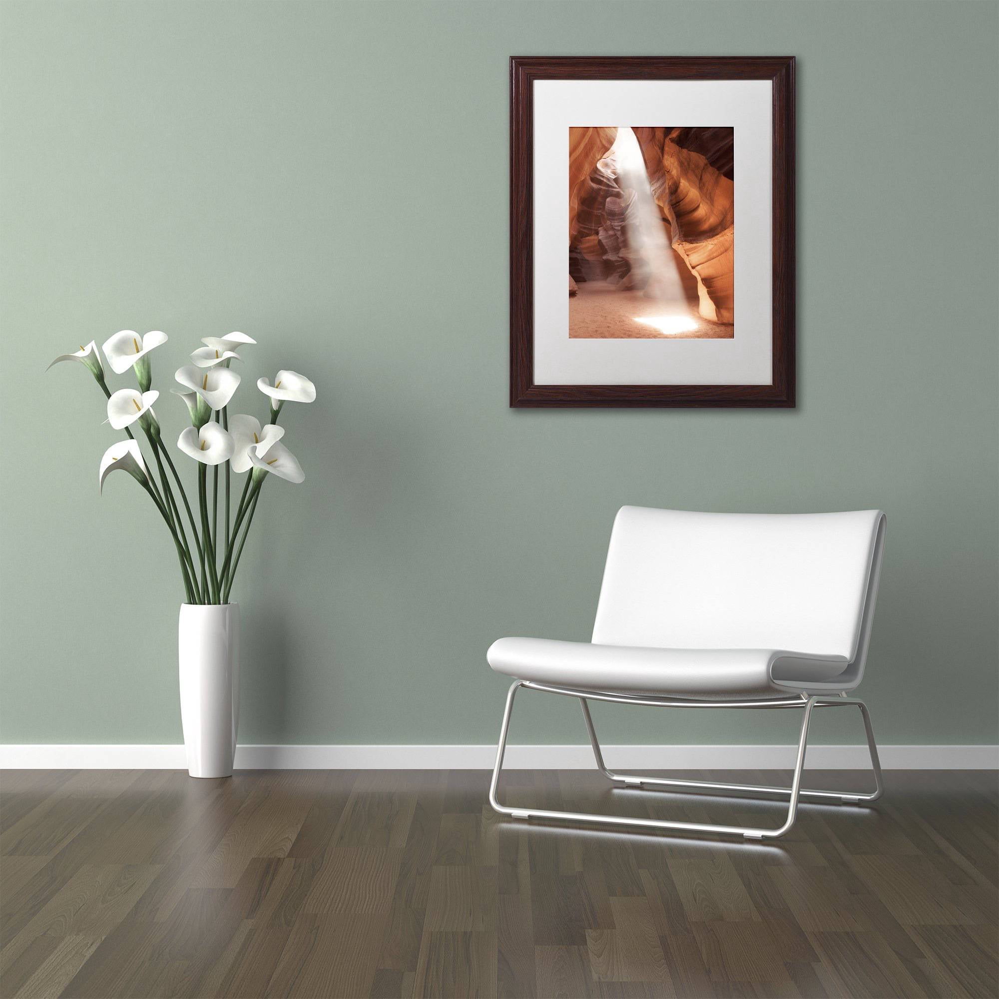 Trademark Fine Art "Illumination I" Canvas Art by Moises Levy White Matte, Wood Frame