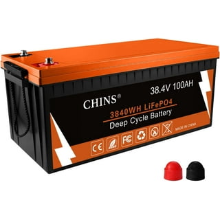 12V 110AH BLUETOOTH Lithium Leisure Battery LiFePO4 - Eco Tree Lithium  LiFePO4 Battery