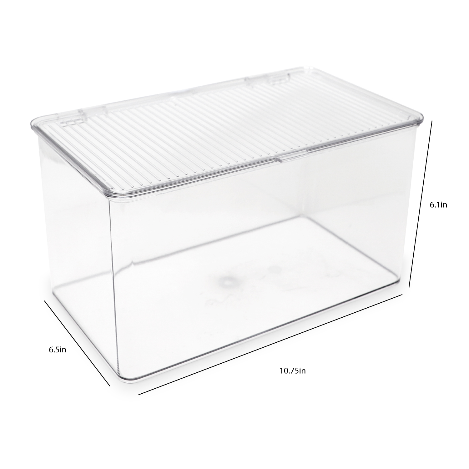 Isaac Jacobs Clear Hinged Storage Container Set, Large, 2-Pack