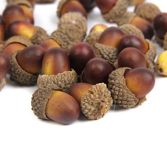 Greenadscape 100Ud Acorns Para Manualidades Material De Espuma Para De En Temporada Otoñal