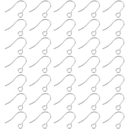 300pcs 15mm Long Stainless Steel Ear Wire Hooks Metal Hypoallergenic French Earring Hooks with Horizontal Loops Dangle Earrings Wire for Earring Jewelry Making Findings DIY