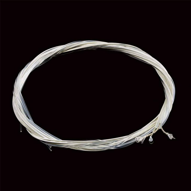 Naiovety Juego de cuerdas plateadas de nailon transparente y plateado para guitarra clásica clásica 1M 1-6 E B G D A E Accesorios para instrumentos musicales Naiovety YQ0347-00B