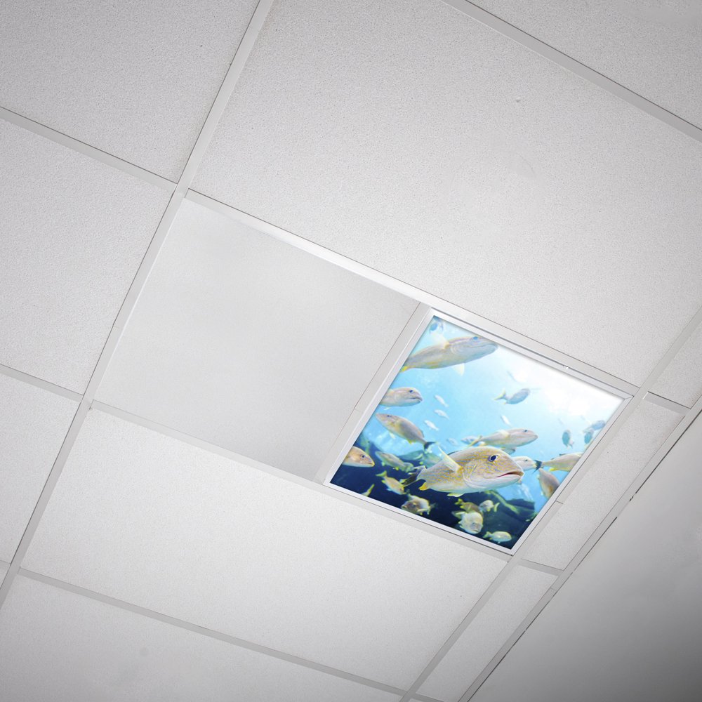 Octo Lights Fluorescent Light Covers 2x2 Flexible Decorative Light