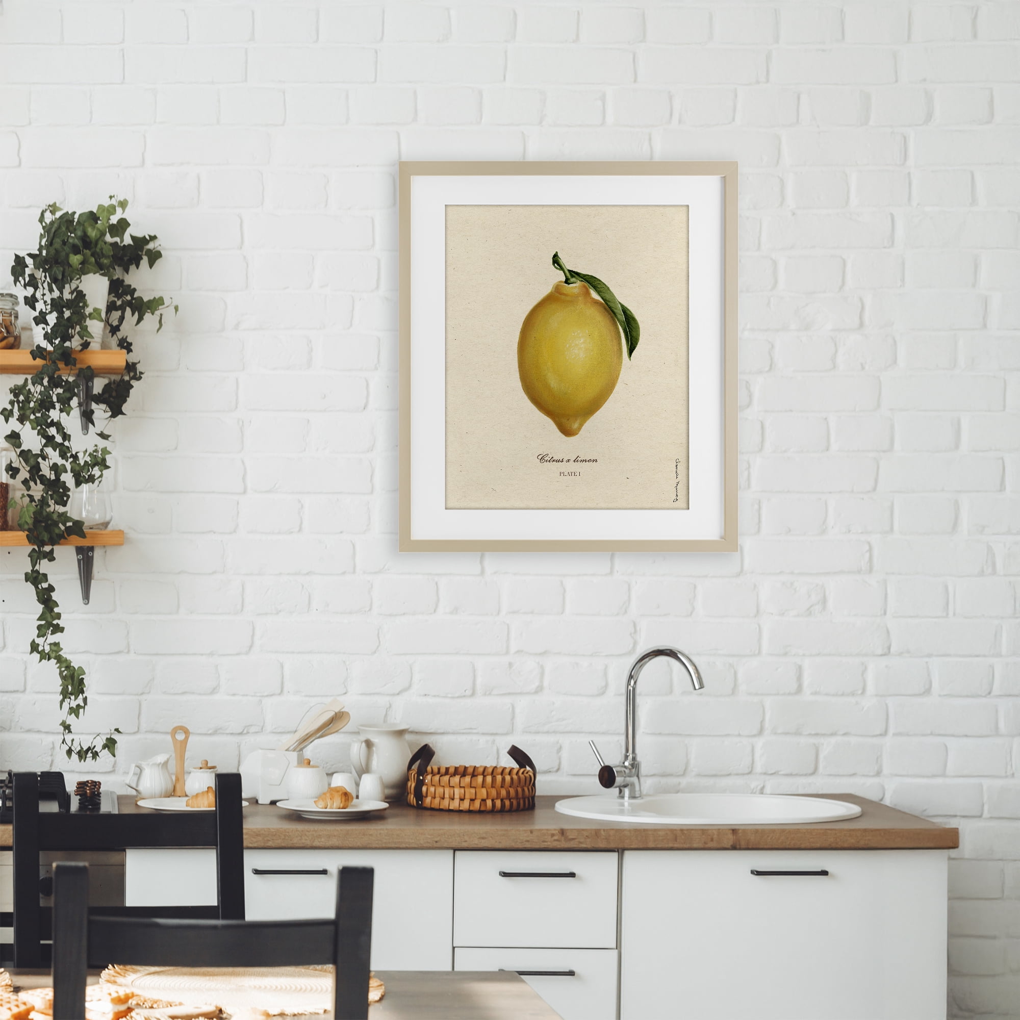 Stupell Industries Lemon Fruit Portrait Birch Framed Print Under Glass, design by Danielle Murray