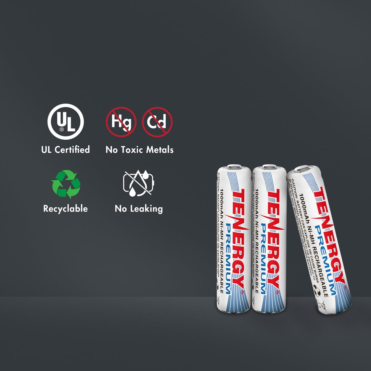 Tenergy Premium NiMH Rechargeable Batteries Combination, (12xAA/8xAAA/4x9V)