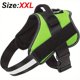 thumbnail image 1 of Keep Your Dog Safe and Comfortable with this Reflective No-Pull Dog Harness!, 1 of 5