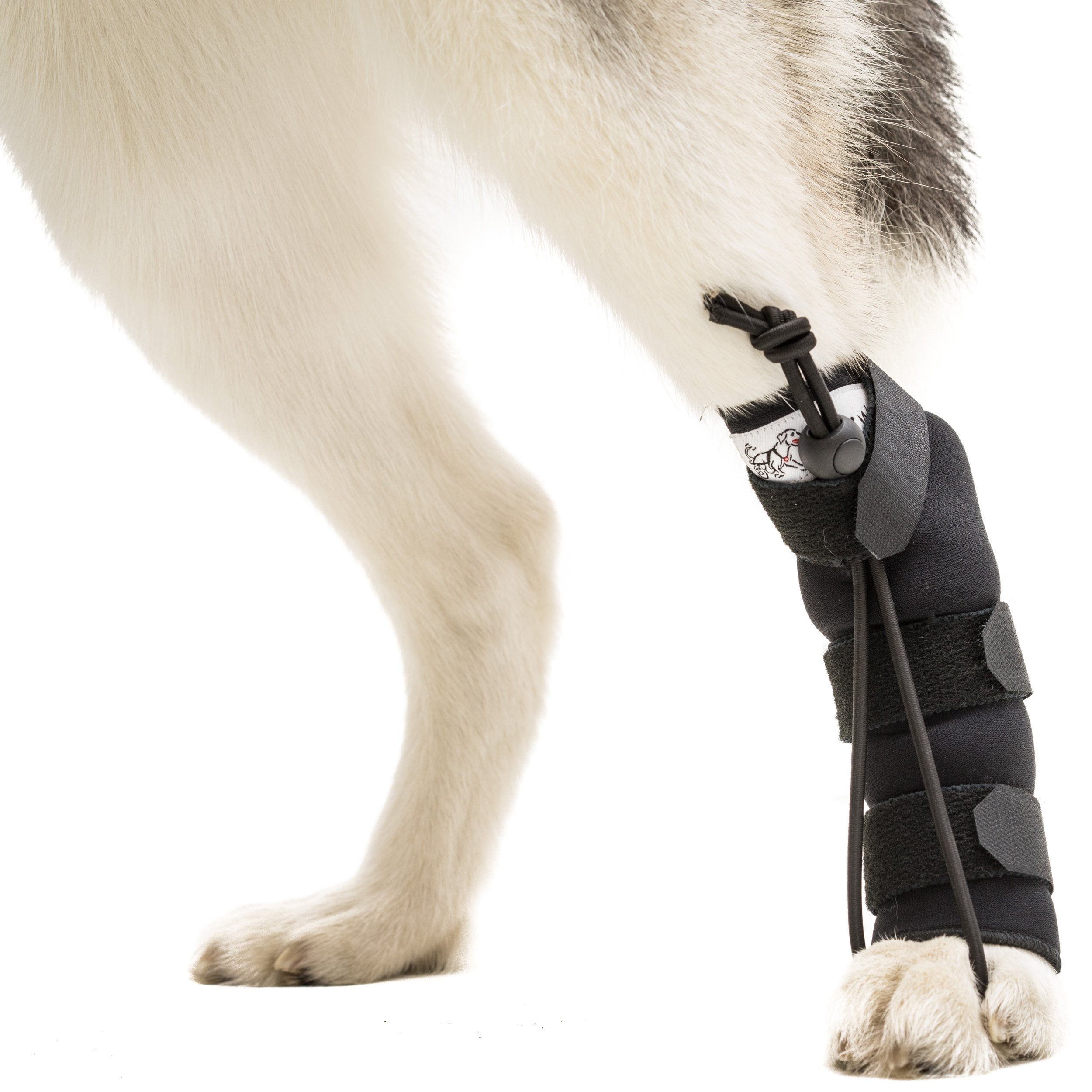 Rear NoKnuckling Training Sock Helps Dogs Pick up their Feet when Knuckling Under or Dragging