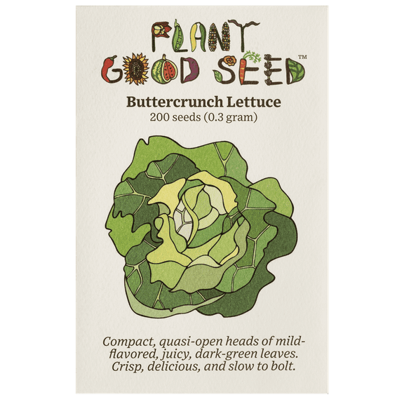 Plant Good Seed Buttercrunch Lettuce Seeds: Full Sun Annual, Organic Heirloom, Dark Green Leaves