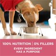thumbnail image 2 of Purina ONE SmartBlend Digestive Health Formula Chicken, Dry Dog Food 5.4kg, 2 of 9