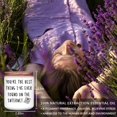 thumbnail image 4 of Regalos divertidos con aroma a lavanda de Candle Homsolver para ella, 4 of 9