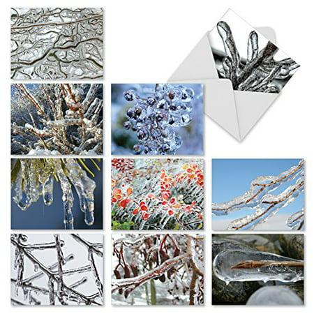 'M3279 NATURE ON ICE' 10 Assorted All Occasions Cards Featuring Close-Up Photos Of Icy Tree Limbs with Envelopes by The Best Card (Best Saw For Tree Limbs)