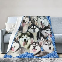 Wijzvio Siberian Husky Dog Throw Blanket Soft Fuzzy Fleece Blanket For Couch Bed Living Room Decoration 50"X40"