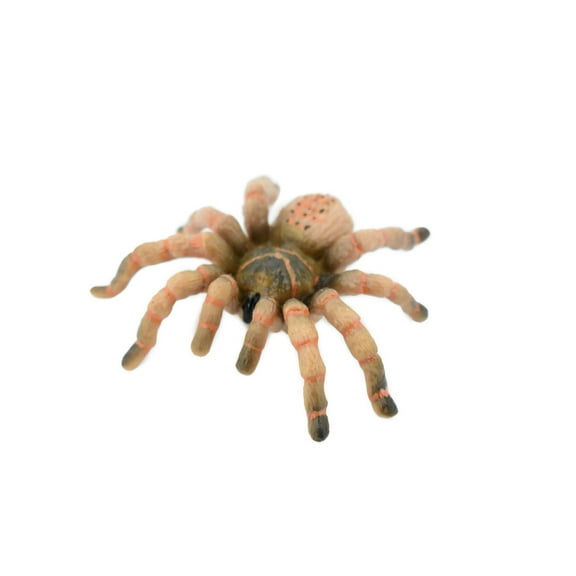 Spider, Wolf Spider, Rubber Insect, Hand Painted, Realistic Toy Figure, Model, Replica, Kids, Educational, Gift, 3" CH422 BB108