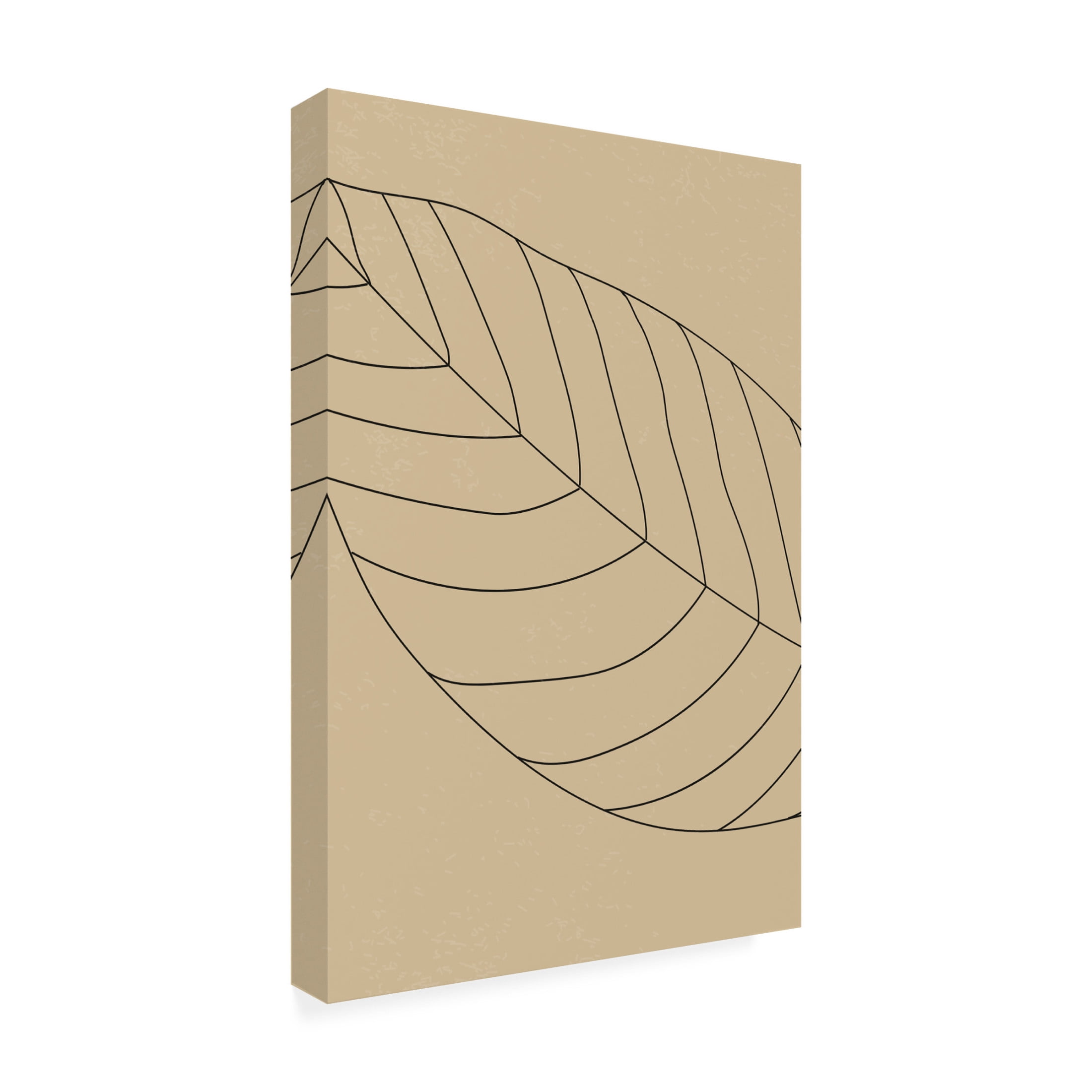 Trademark Fine Art jay stanley  Minimal Leaves 2 Canvas Wall Art