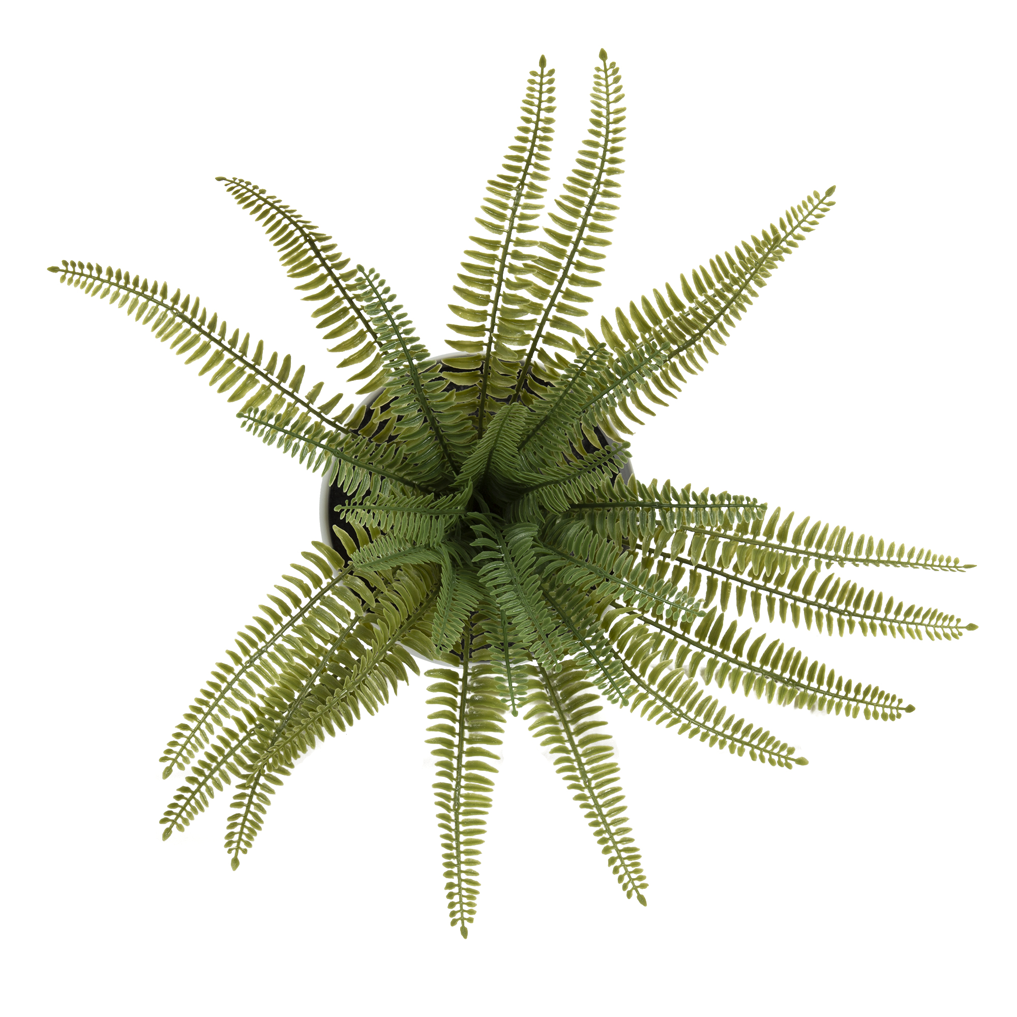 9.25" Artificial Fern Plant in Tan and White Ceramic Pot by Better Homes & Gardens - image 3 of 9