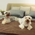 thumbnail image 4 of Soft Pet Blanket Double-sided Thickened Solid Color Cat Blanket Dog Blanket, 4 of 10
