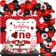 thumbnail image 1 of Set de decoración de cumpleaños Sursurprise Ladybug 1st Birthday, 1 of 6