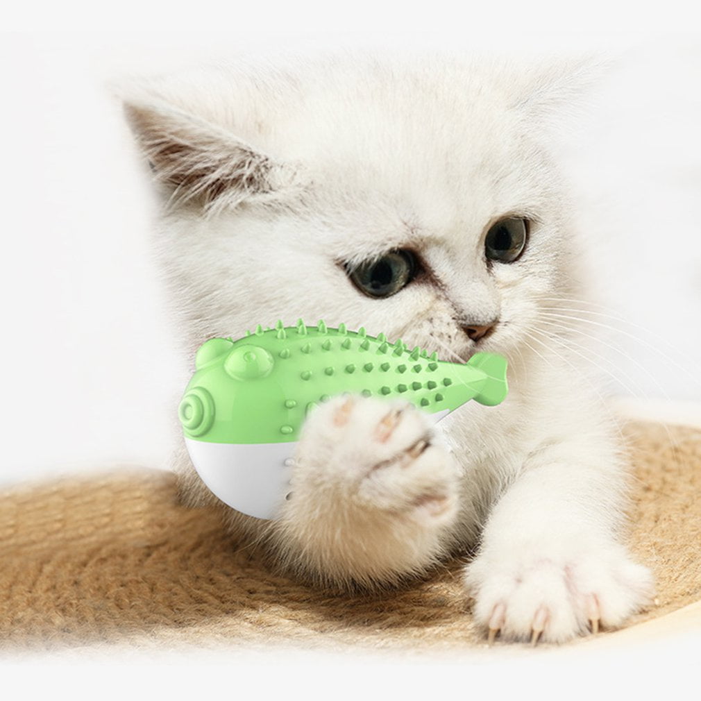 cat teether toy