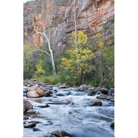 Great BIG Canvas | Rolled Jamie and Judy Wild Poster Print entitled Arizona, Oak Creek Canyon and trees with fall