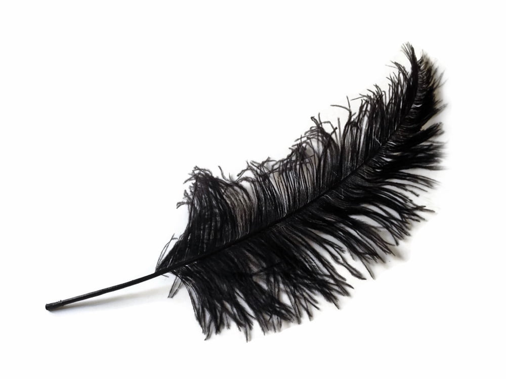 1/2 Lb Black Large Ostrich Spads Wholesale Feathers 2028" (Bulk
