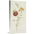 thumbnail image 1 of Global Gallery's Cheri Blum 'Wild Wallflowers IV' Stretched Canvas Wall Art, 1 of 4