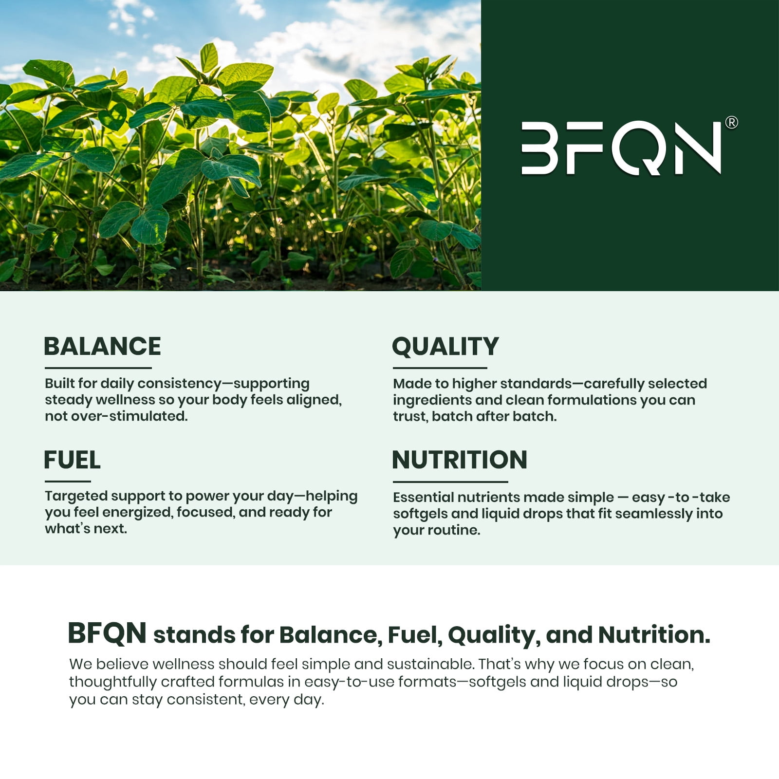 BFQN Astaxanthin 24mg Softgels, 150 Softgels, 5-Month Supply | Premium Antioxidant Supplement from Microalgae | Triple Strength, Non-GMO, Gluten Free