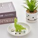 thumbnail image 4 of Porta Anillos de Cerámica con Dinosaurio Zhuboji, Plato para Joyas 11x11x8 cm, 4 of 7