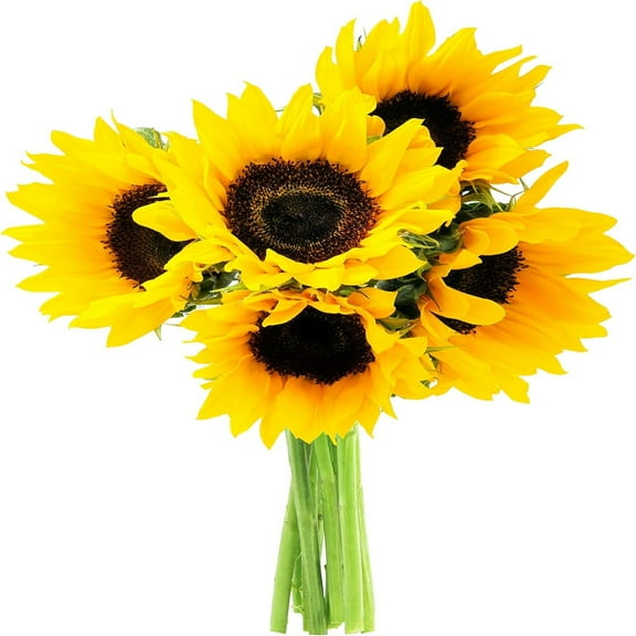 KaBloom : Happy Days 5 Sunflower Bouquet with Vase, Next-Day Delivery, Gift for Every Occasion