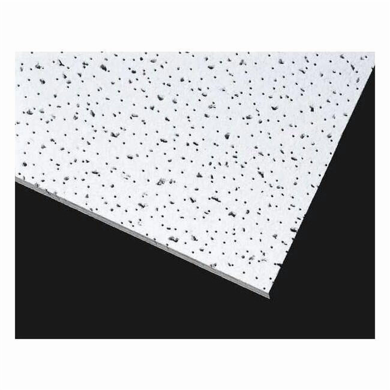 Armstrong Ceiling Tile,24 in L,24 in W,PK12 607A