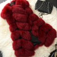 thumbnail image 1 of Gilet Sans Manches en Fausse Fourrure pour Femmes - DF, 1 of 2