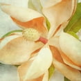 thumbnail image 2 of Malek, Honey 15x15 White Modern Wood Framed Museum Art Print Titled - Vintage Magnolia I, 2 of 4
