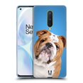 thumbnail image 1 of Head Case Designs Popular Dog Breeds English Bulldog Soft Gel Case Compatible with OnePlus 8 5G, 1 of 7